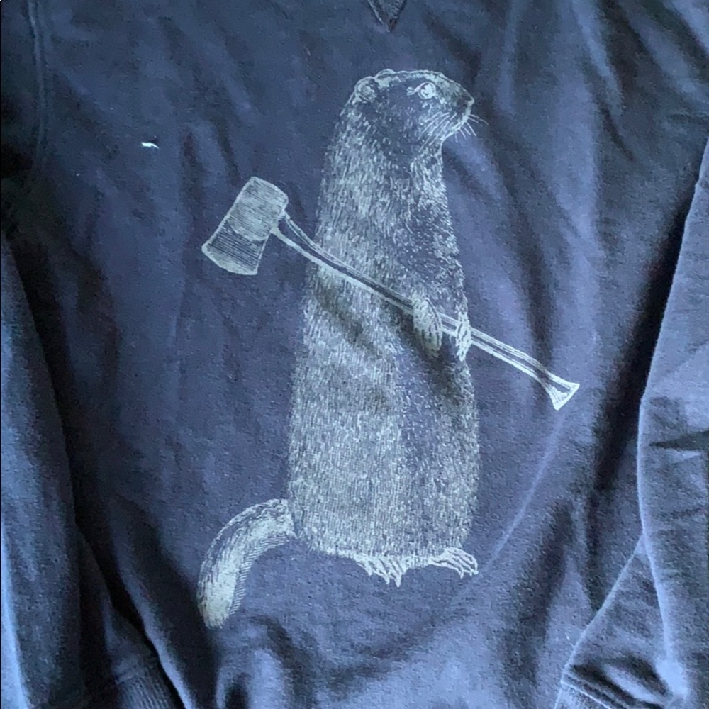 Sweatshirt - Picture 2 of 6